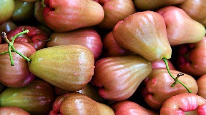 PilihPilih jambu air yang matang jambu air yang matang