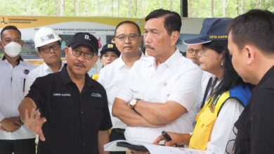 Pekerjakan Tenaga Asing di IKN, Luhut: Bangsa Kita Enggak Bisa