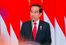 Selamat Ulang Tahun ke-62, Presiden Jokowi! (Instagram :jokowi)