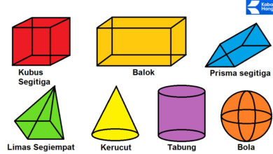 Sifat-Sifat Bangun Ruang - Kursus Matematika (2023)