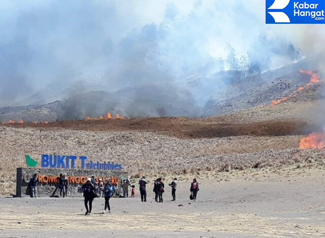 Bukit Teletubbies Bromo Kebakaran Gegara Pre-Wedding, Owner WO Jadi Tersangka