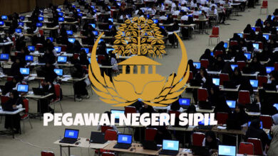 Kabarnya Pengumuman CPNS 2024, Ada 6 Tahapan Seleksi